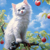 Paint by Numbers - Heavenly curiosity, white kitten on a branch surrounded by ripe apples against a bright blue sky.