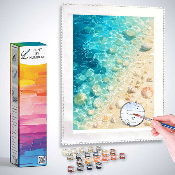 Paint by Numbers - Shells in the sunlight