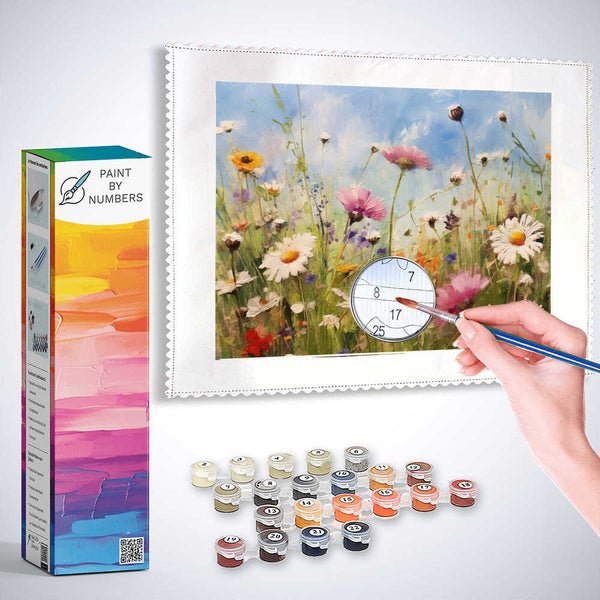Paint by Numbers - Summer Meadow Daydreaming kit with canvas, paints, and brush showing a colorful meadow of wildflowers against a blue sky.