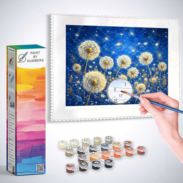 Paint by Numbers - Starry Night of Wishes