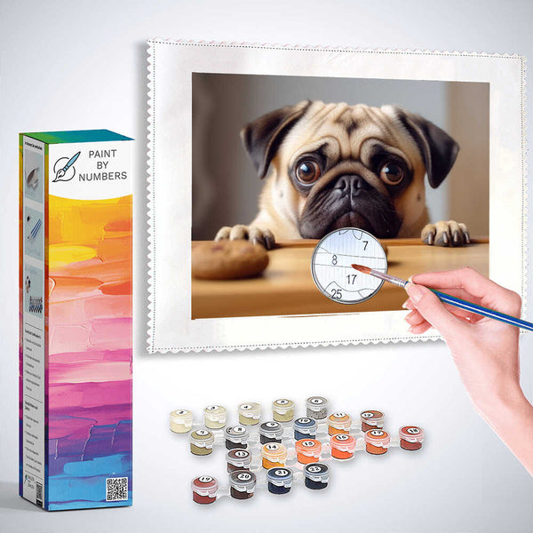 Paint by Numbers kit featuring a pug with pleading eyes, staring at two biscuits on a table, in soft brown tones.