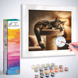 Paint by Numbers kit featuring a serene sleeping cat bathed in golden light, promoting relaxation and domestic tranquility.