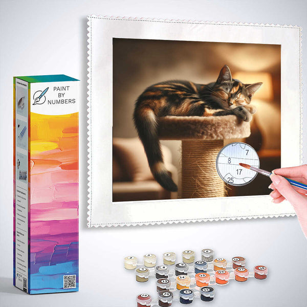 Paint by Numbers kit featuring a serene sleeping cat bathed in golden light, promoting relaxation and domestic tranquility.