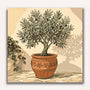 Paint by Numbers - Mediterranean sun – peace in the olive pot
