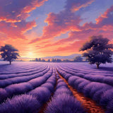Paint by Numbers - Vibrant lavender field with a romantic purple and pink sky at sunset, showcasing Mediterranean flair and calm beauty.