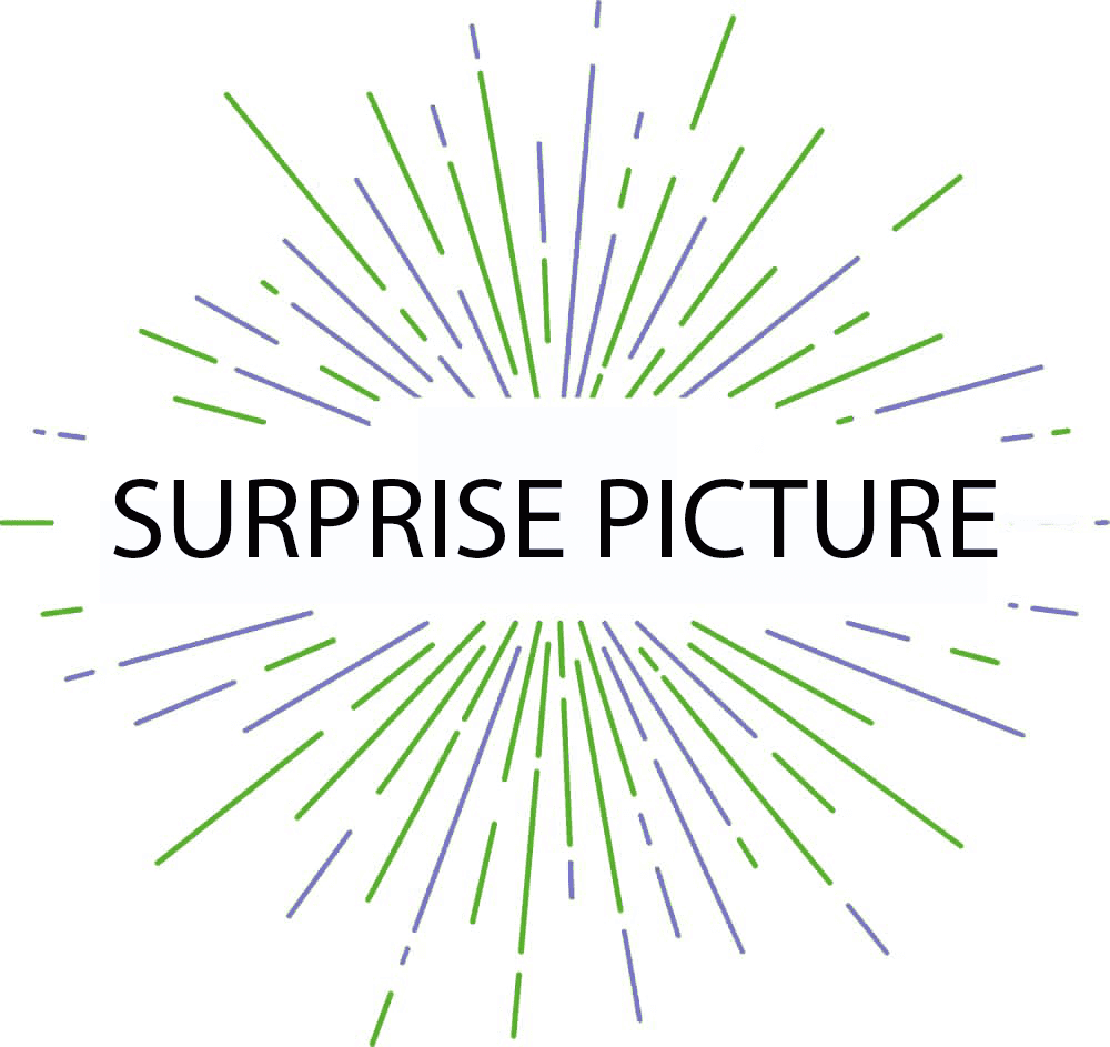 Paint by Numbers surprise picture