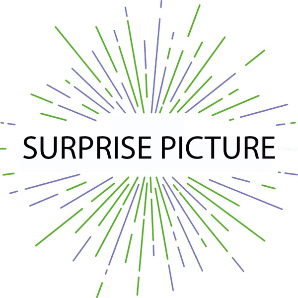 Paint by Numbers surprise picture