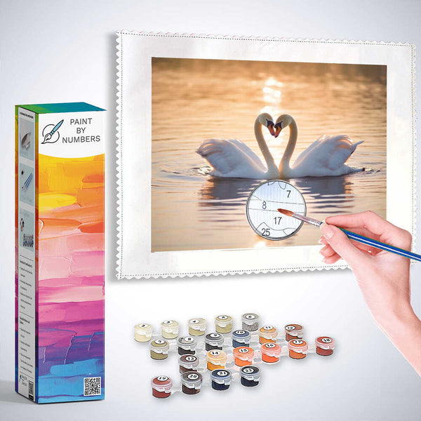 "Paint by Numbers kit featuring 'Hidden Tenderness in the Evening Light' with swans forming a heart shape, including paint pots and brush."