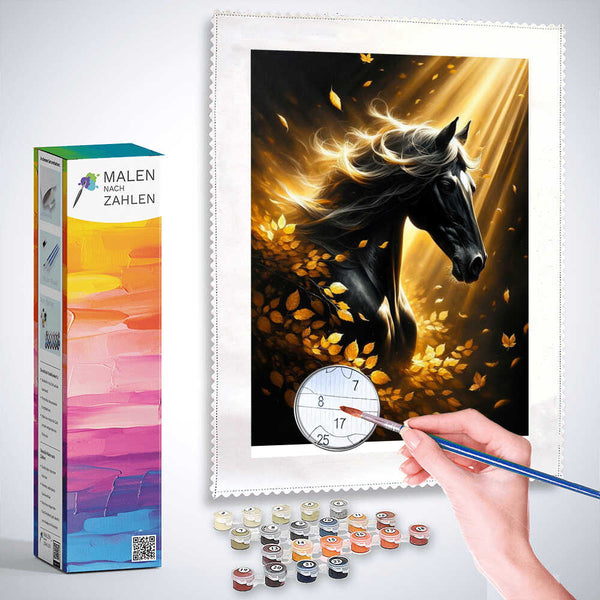 Paint by Numbers - Bold Black Horse
