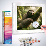 Paint by Numbers kit featuring smiling sloth resting on moss-covered branches in a lush green forest.