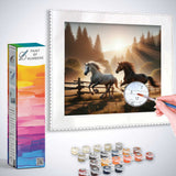 Paint by Numbers kit featuring two horses galloping at dawn, capturing peace and freedom with vivid colors and shadows in an impressionistic style.