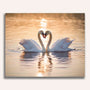 Paint by Numbers - Hidden tenderness in the evening light, swan love