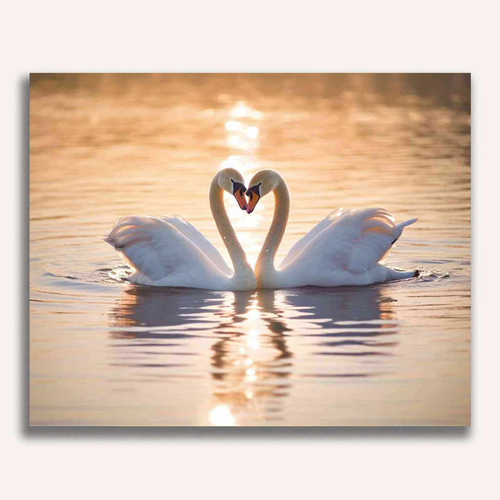 Paint by Numbers - Hidden tenderness in the evening light, swan love