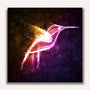 Hummingbird, purple - Paint by Numbers