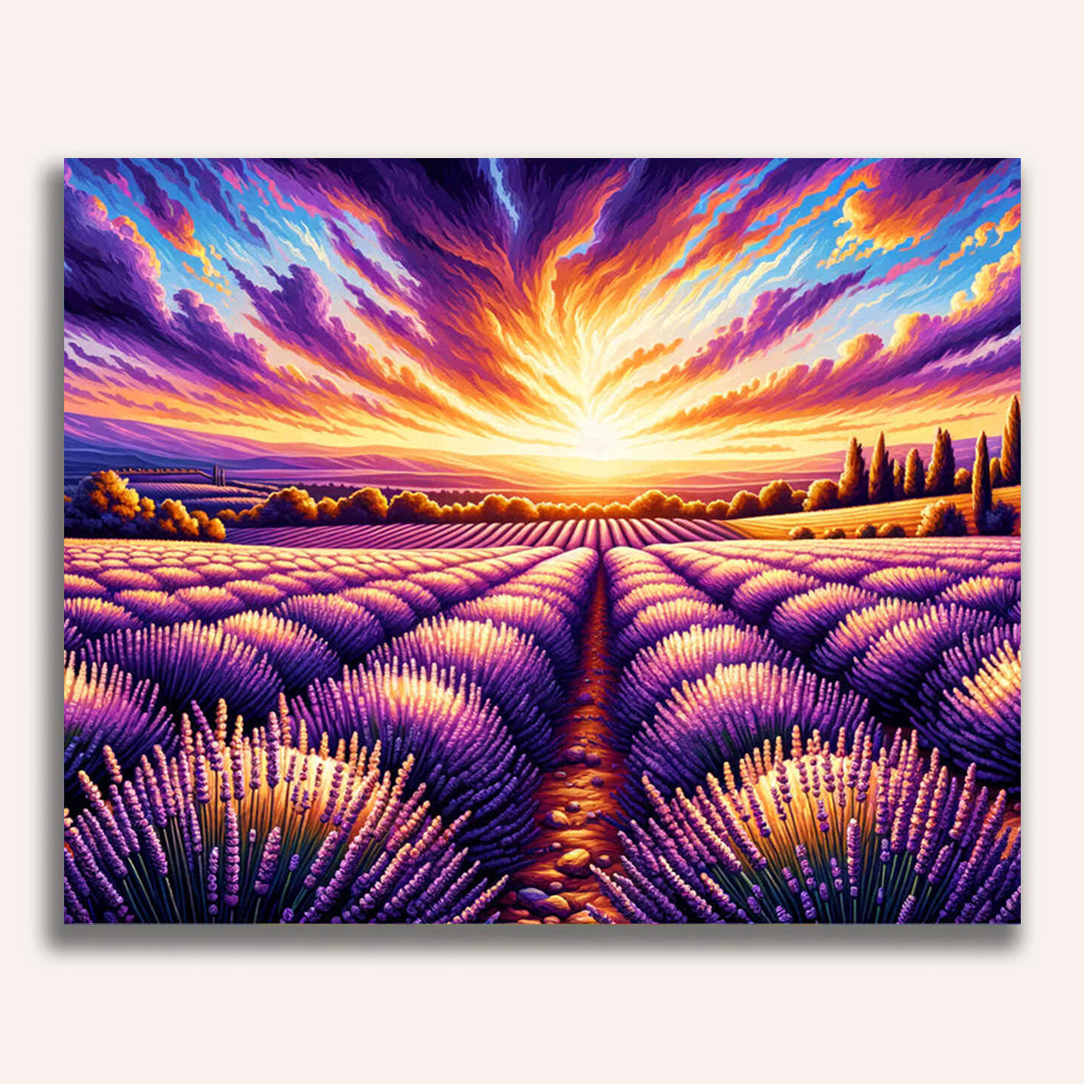 Lavender field - Paint by Numbers