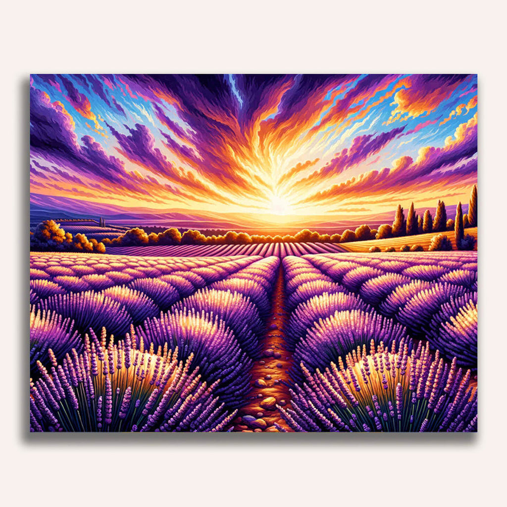Lavender field - Paint by Numbers