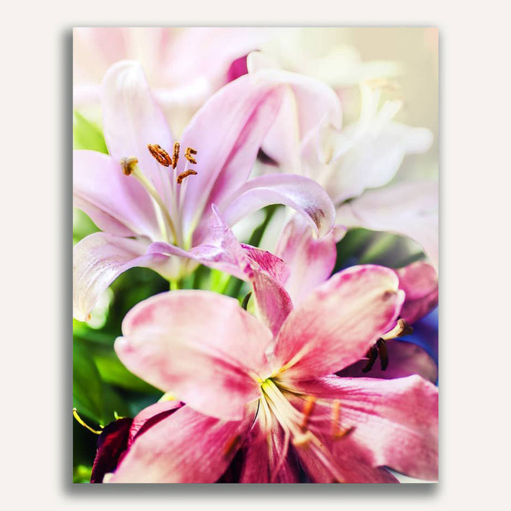 Lilies, sunshine - Paint by Numbers