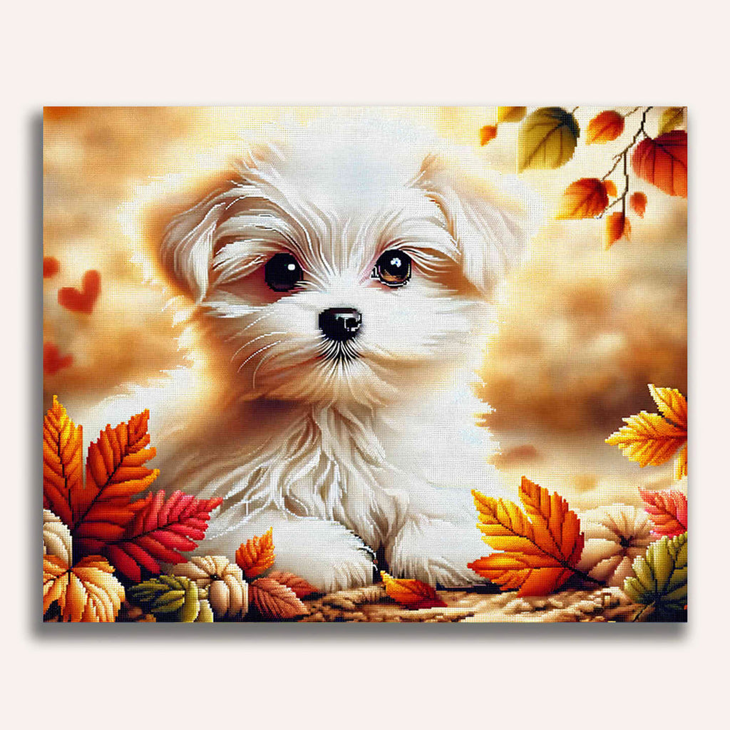 small white dog - Paint by Numbers