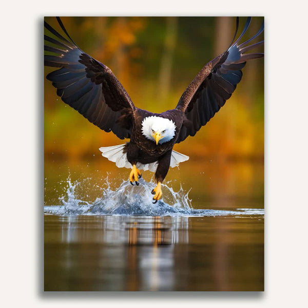 Paint by Numbers - Eagle starts