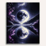 Paint by Numbers - Black and White Moon