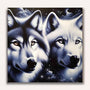 Paint by Numbers - Black and White Wolves