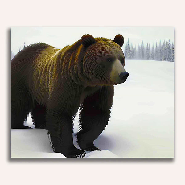 Paint by Numbers - Brown bear in winter