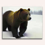 Paint by Numbers - Brown bear in winter