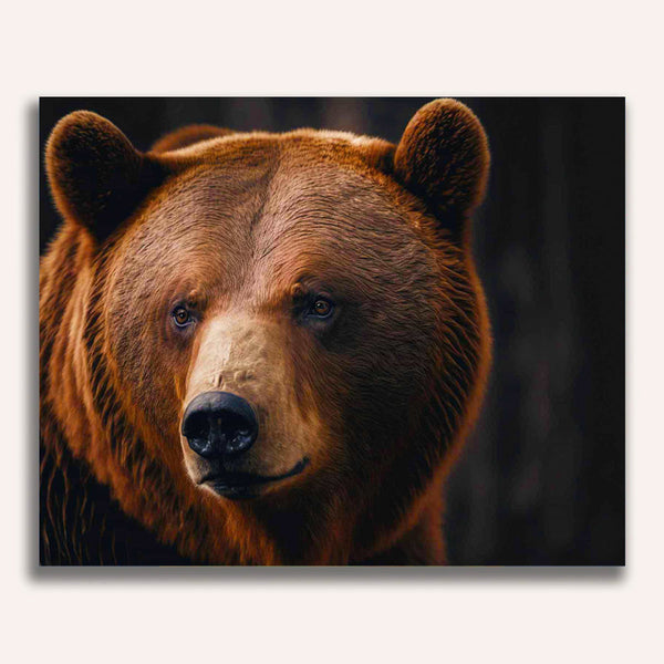 Paint by Numbers - Brown bear portrait