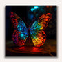 Paint by Numbers - Butterfly Frontal at night