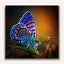 Paint by Numbers - Butterfly Purple