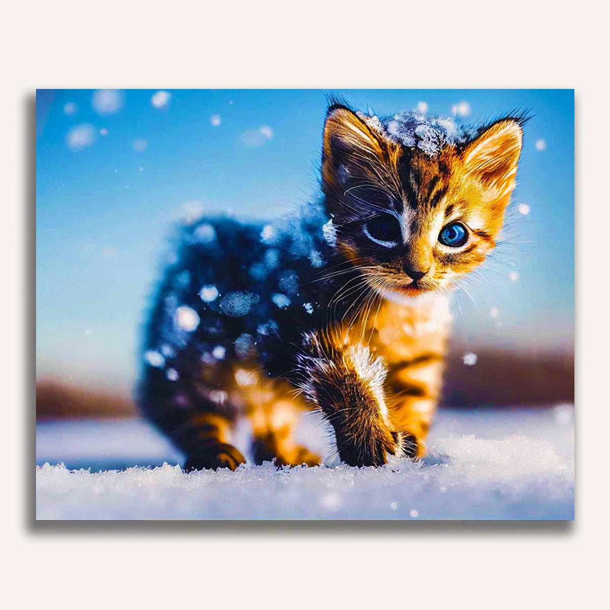 Paint by Numbers - Kitten in the snow