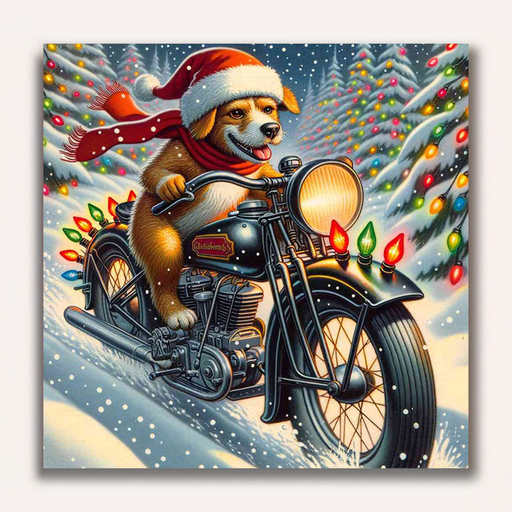 Paint by Numbers - Dog Motorcycle