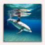 Paint by Numbers - Dolphin swims