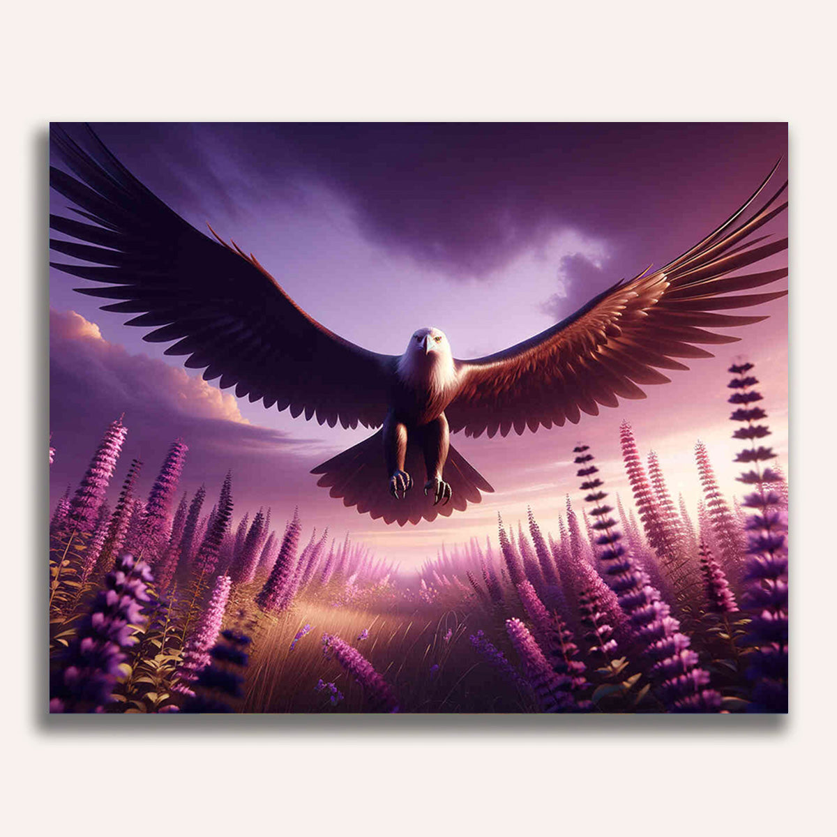 Paint by Numbers - Eagle approaching