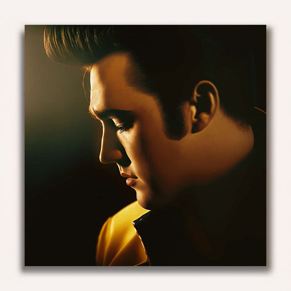 Paint by Numbers - Elvis, the king of rock'n'roll