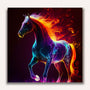 Paint by Numbers - Fantastic horse