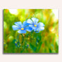 Paint by Numbers - Pair of flowers on meadow