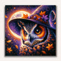 Paint by Numbers - Halloween Owl Witch