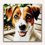 Paint by Numbers - Jack Russel in Brown and White
