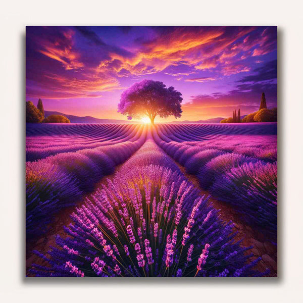 Paint by Numbers - Lavender Field Book