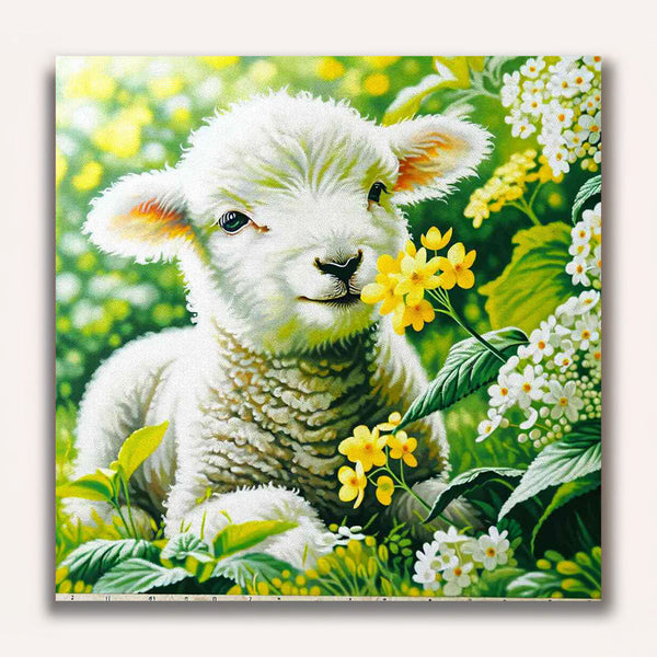 Paint by Numbers - Little Lamb with Flower