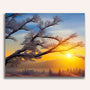 Paint by Numbers - Morning dew in the sunrise