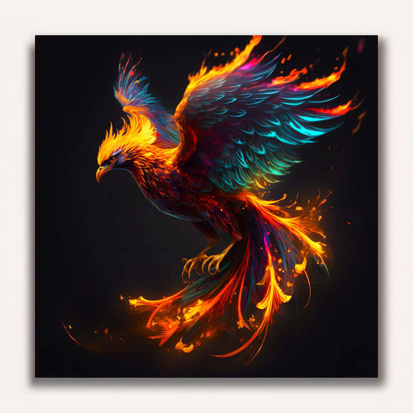 Paint by Numbers - Swoop