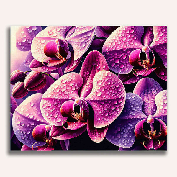 Paint by Numbers - Orchid, Near