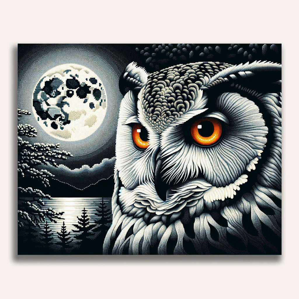 Paint by Numbers - Owl portrait, black and white