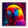 Paint by Numbers - Papagai Frontal Colorful