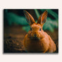 Paint by Numbers - Rabbit in the forest