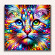 Sticky Image