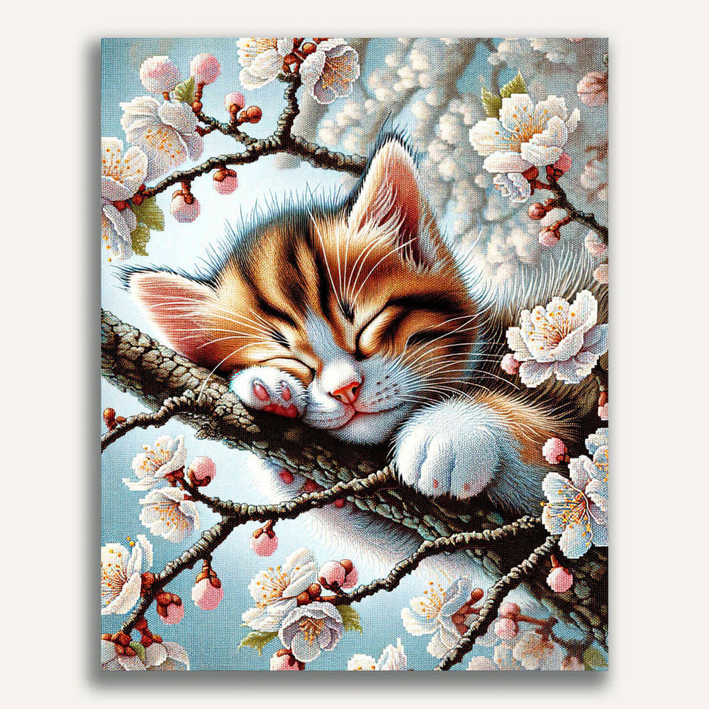 Paint by Numbers - Sleeping kitten