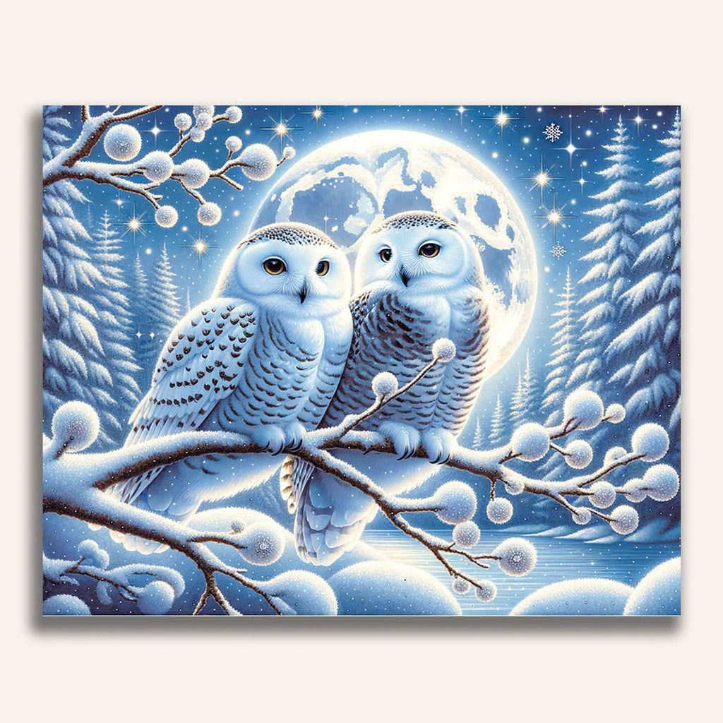 Paint by Numbers - Snowy owls couple